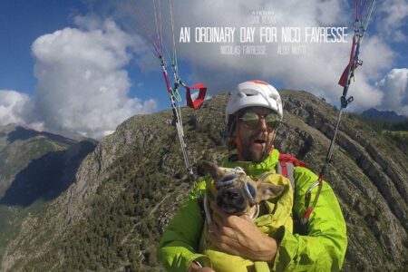 An ordinary day con Nico Favresse