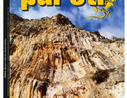 Pareti 151